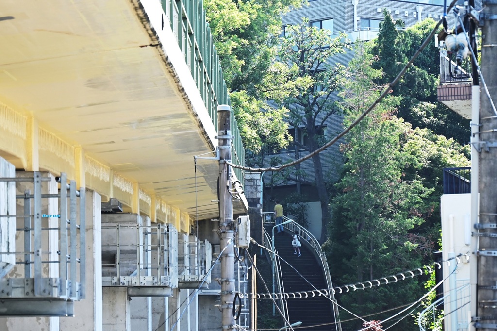 谷間に階段
