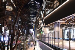 春を待つ渋谷の夜