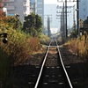 真っ直ぐなんだけど・・・ヒョロッヒョロッしてる線路