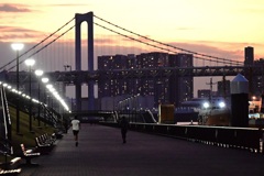 ほんのチョットだけ前ピン・・