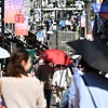 レッド日傘