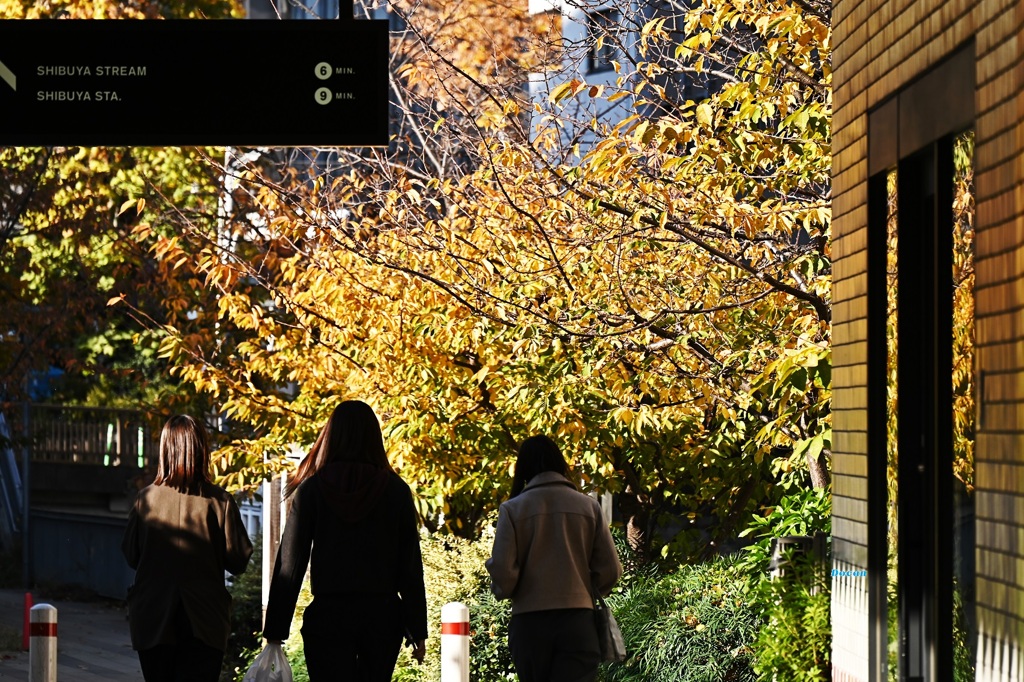 １２月のヒカリ