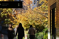 １２月のヒカリ