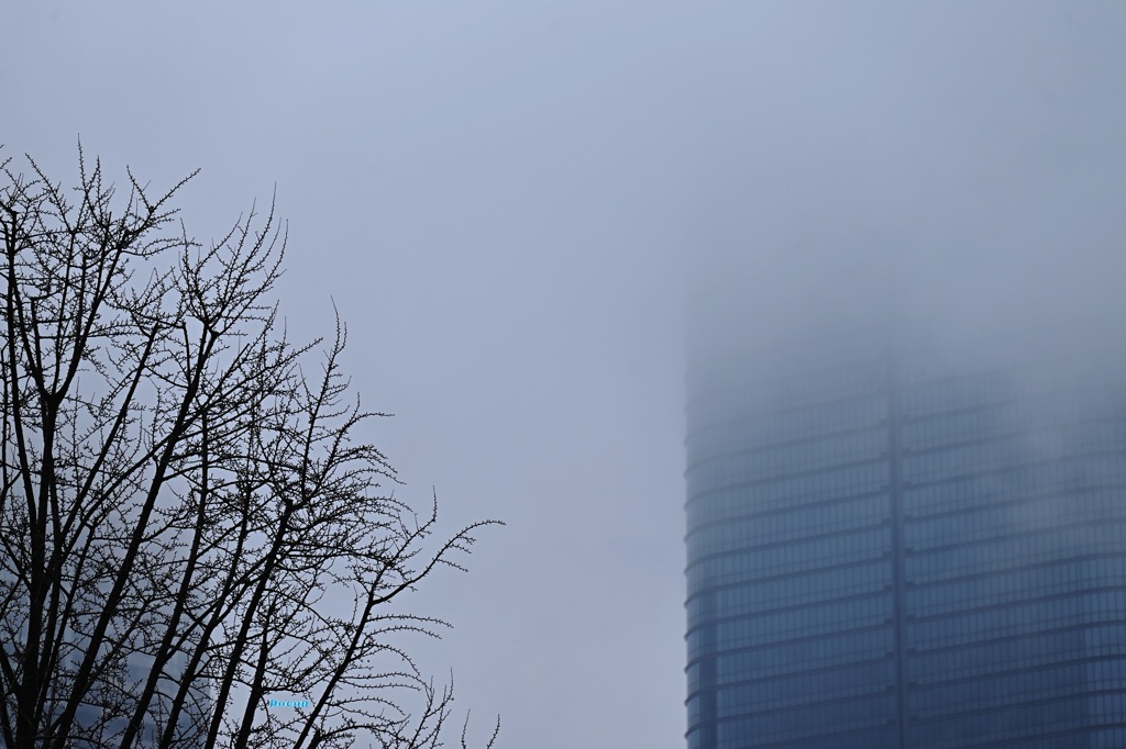 雨上がりの印象