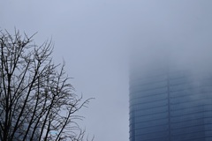 雨上がりの印象