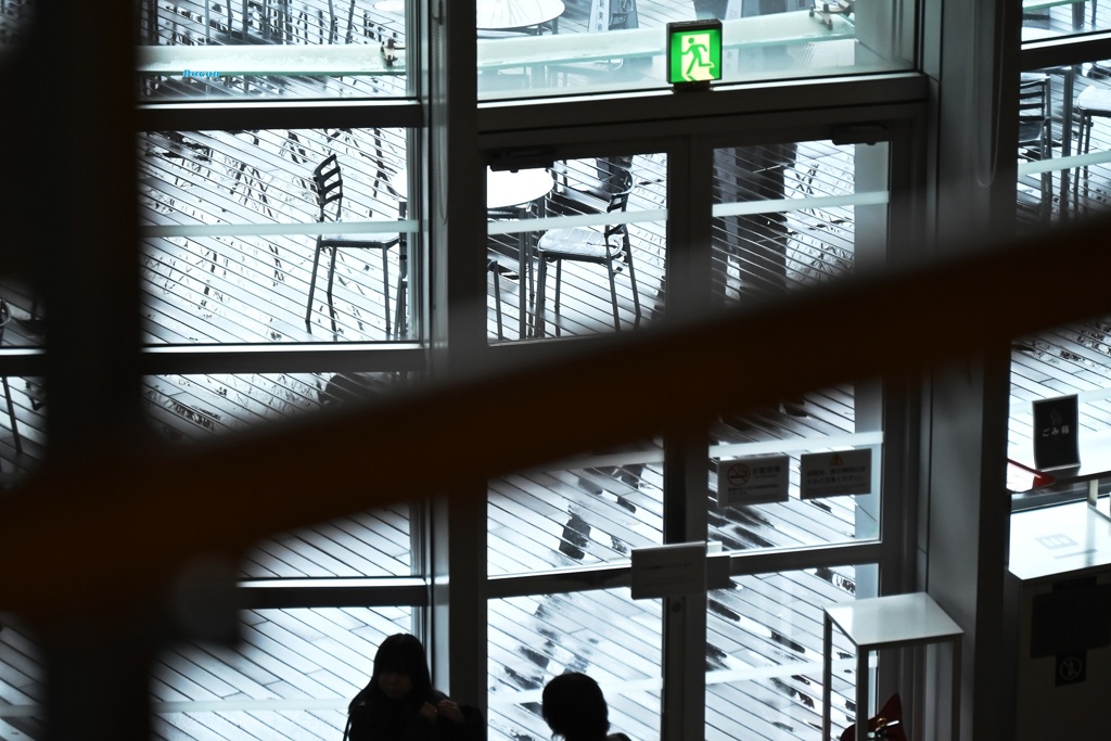 雨上がりの休日