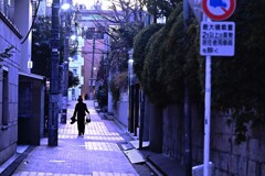 路地の灯りが灯りはじめた