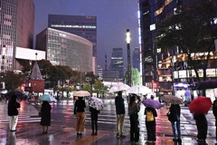雨の数寄屋橋 雨の数寄屋橋