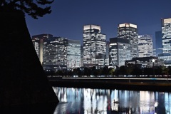 白鳥さんこんばんは～～寒いです～