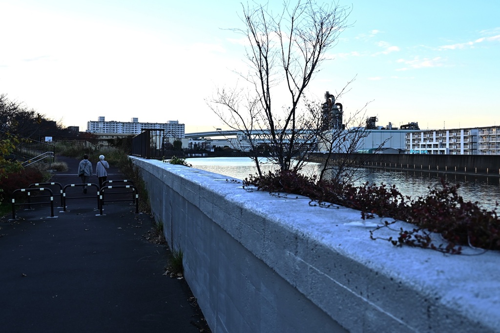 秋の夕暮れ～～散歩道