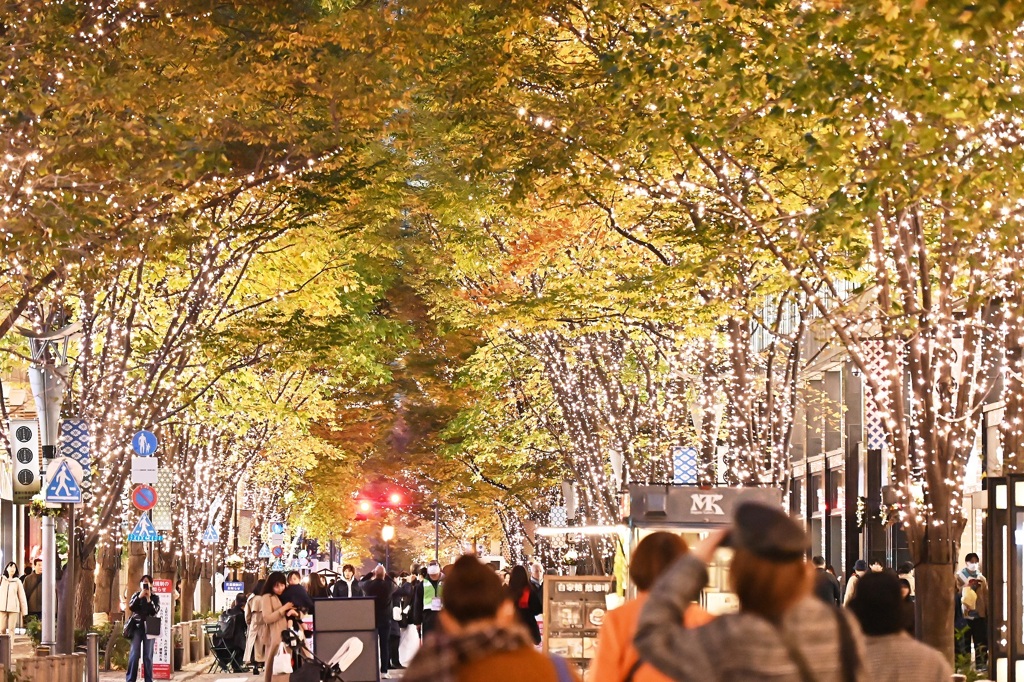 丸の内仲通りのイルミネーション　その２