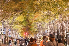 丸の内仲通りのイルミネーション　その２