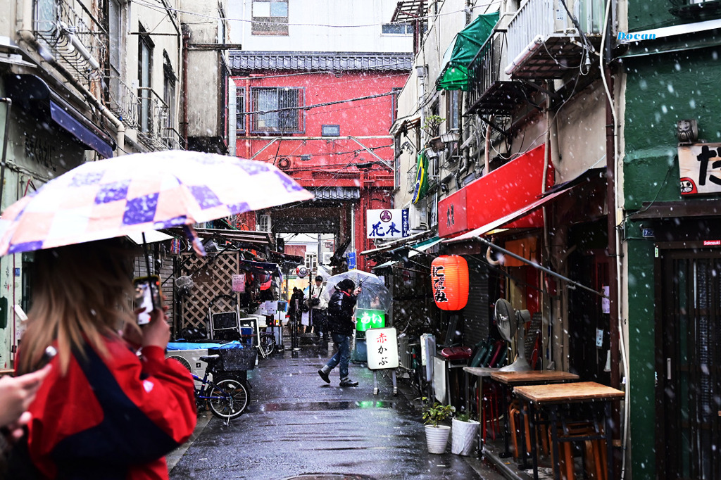 小路の小雪