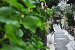 狭くてネコちゃんのいた路地