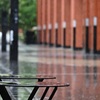 雨はふる～だれも来ない