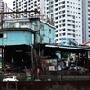 ターコイズブルー
