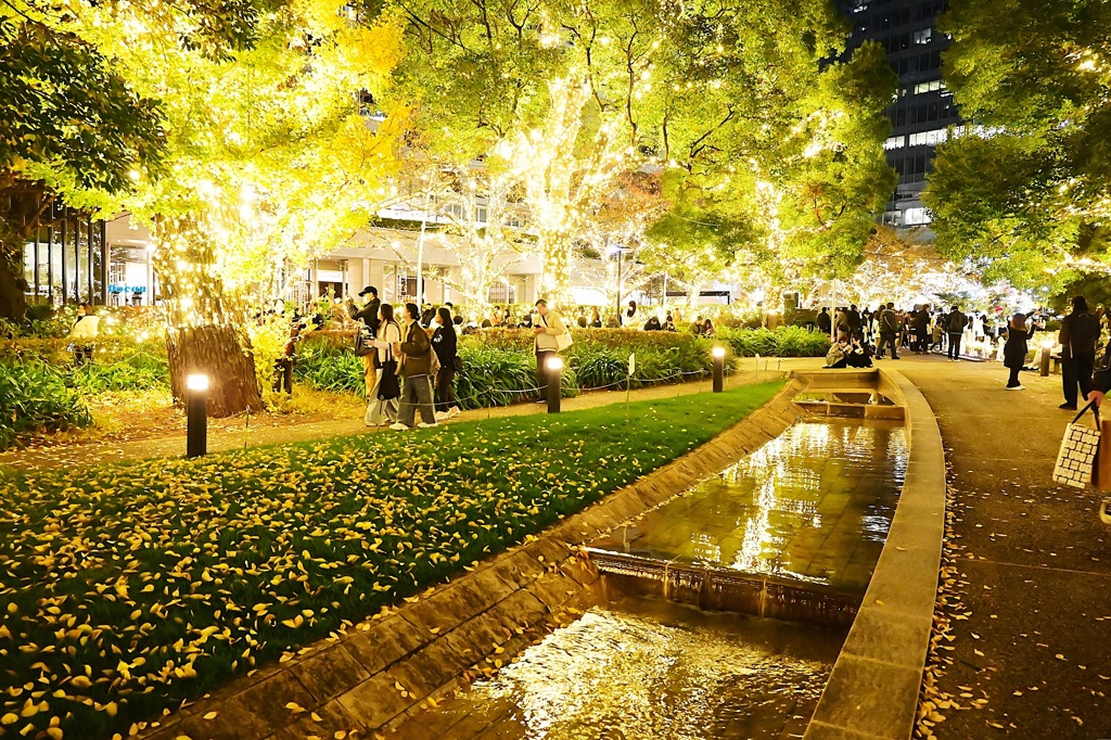 枯れ葉散る～♪～イルミネーション