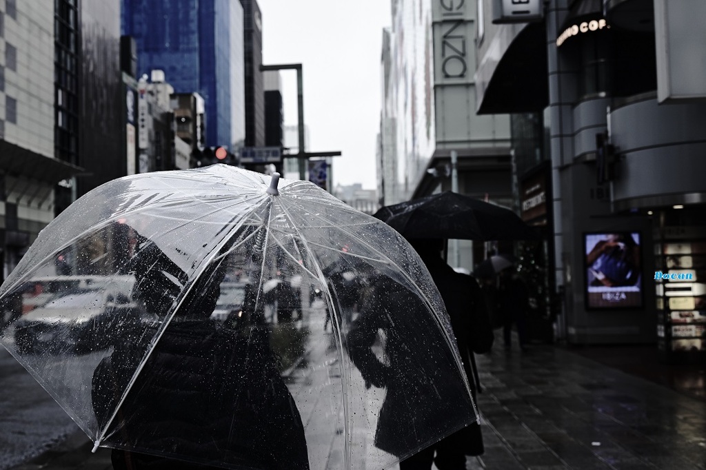 雨
