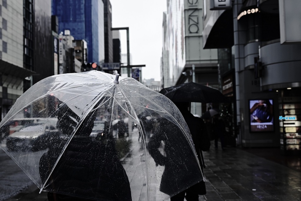 雨