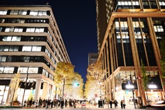 丸の内仲通りのイルミネーション　その５