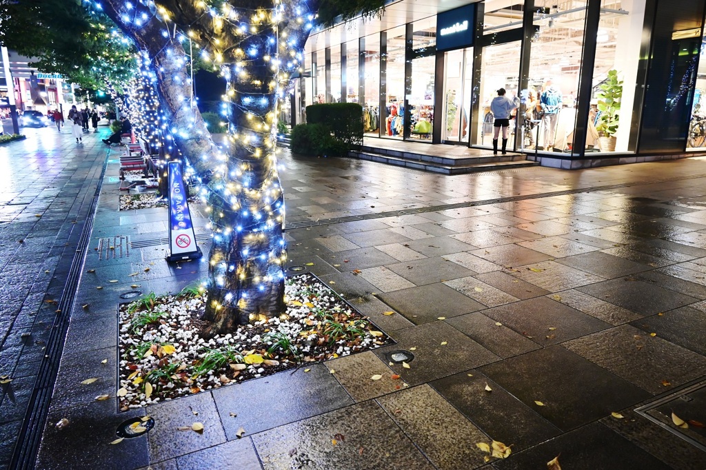 街は落ち葉とイルミネーションの季節・・・もう直ぐメリークリスマス・・