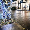 街は落ち葉とイルミネーションの季節・・・もう直ぐメリークリスマス・・
