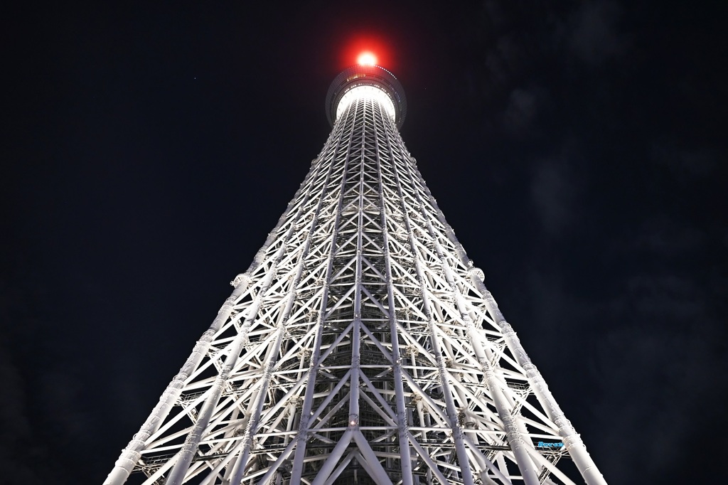 上を見たらレッド