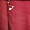 花二輪