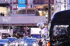 渋谷