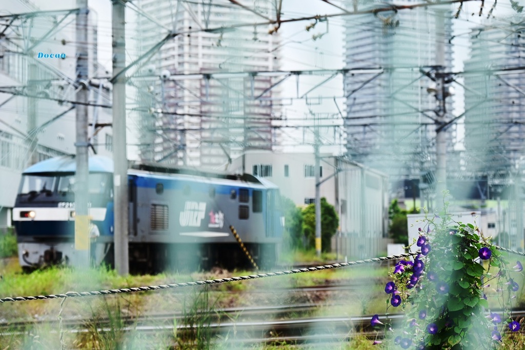 花と操車場