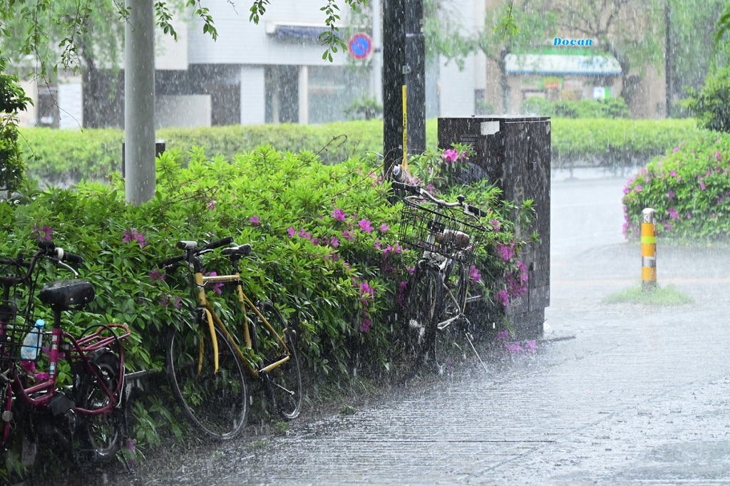 雨が降ってる～～～(^^♪