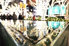 表参道のイルミネーションは～～～今日まで～