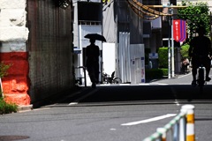 日影の日傘・・・