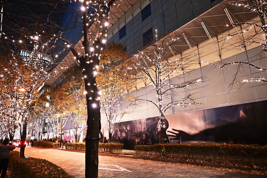 美女にせまる～～手