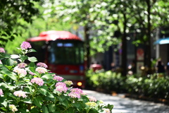 街角にはお花