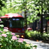街角にはお花