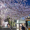 お待ちーーー　　　待ったぜーー