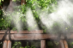 見た目は涼し気～～～ミスト～～