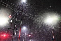 赤信号でも雪が降る