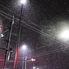 赤信号でも雪が降る