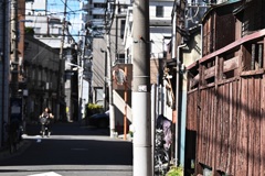 粋でもなければ黒でもない・・ただの古い木塀