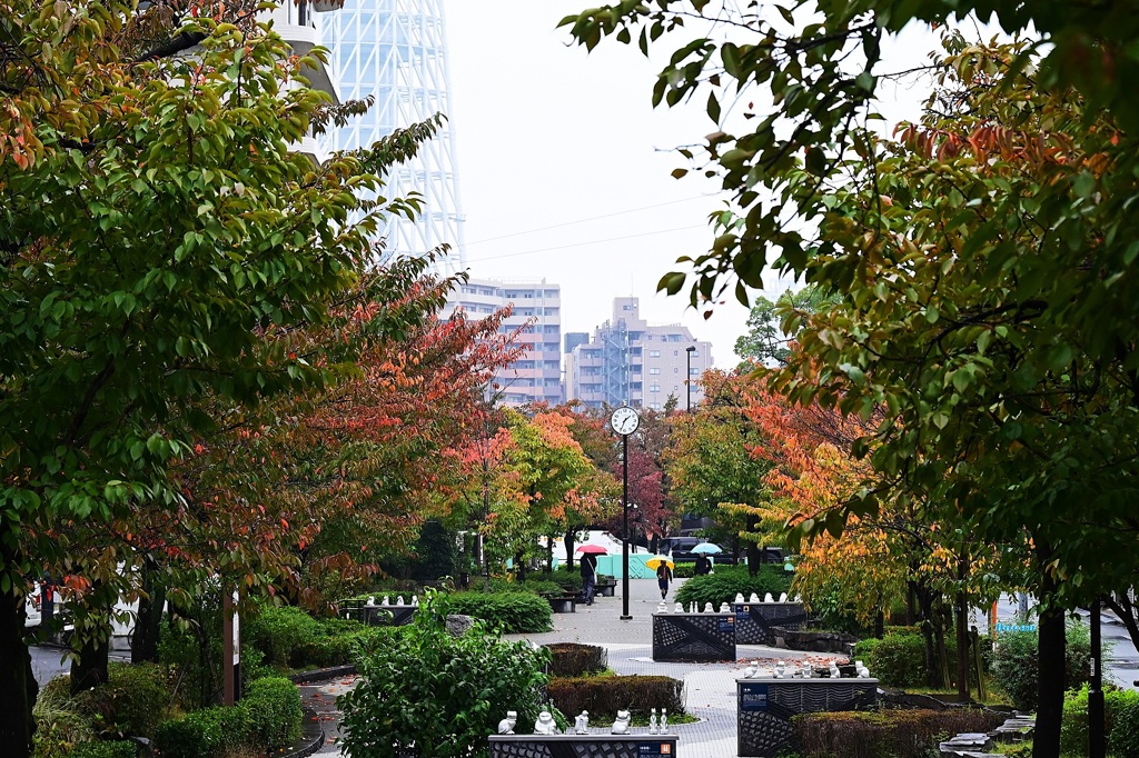 秋色の公園には信号色の傘