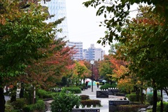 秋色の公園には信号色の傘