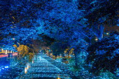 DSC_2516-HDR