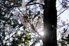 隙間に