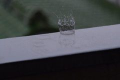 雨の日に、、