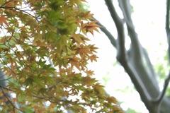 まだまだこれから