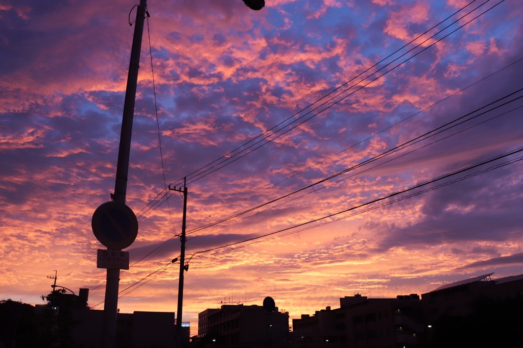 夕暮れ