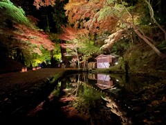 石山寺「あたら夜もみじ」閼伽池のさかさもみじ