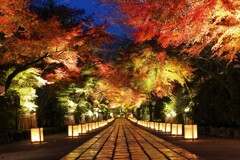 石山寺「あたら夜もみじ」参道
